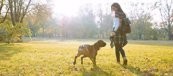 Dog Park at F.I.N.D. Park